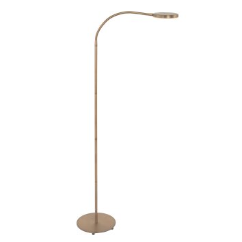 Lampadaire Steinhauer Platu LED Bronze, 1 lumière