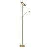 Lampadaire Lucide ZENITH LED Or, Laiton, 1 lumière