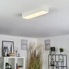 Plafonnier Iriondo LED Blanc, 1 lumière, Télécommandes