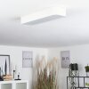 Plafonnier Iriondo LED Blanc, 1 lumière, Télécommandes