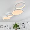 Plafonnier Carabajal LED Blanc, 1 lumière