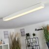 Plafonnier Iriondo LED Blanc, 1 lumière, Télécommandes