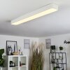 Plafonnier Iriondo LED Blanc, 1 lumière, Télécommandes