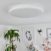 Plafonnier Magdala LED Blanc, 1 lumière