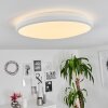 Plafonnier Magdala LED Blanc, 1 lumière