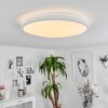 Plafonnier Magdala LED Blanc, 1 lumière