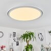 Plafonnier Telsen LED Blanc, 2 lumières, Télécommandes, Changeur de couleurs