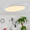 Plafonnier Telsen LED Blanc, 2 lumières, Télécommandes, Changeur de couleurs