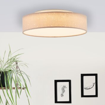 Plafonnier Brilliant Baska LED Argenté, 1 lumière