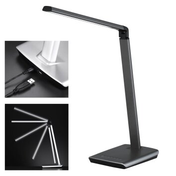 Lampe de table Fischer & Honsel Bright LED Titane, 1 lumière