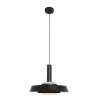 Suspension Steinhauer Flinter Noir, 1 lumière