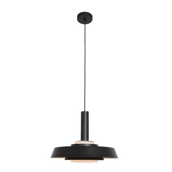 Suspension Steinhauer Flinter Noir, 1 lumière