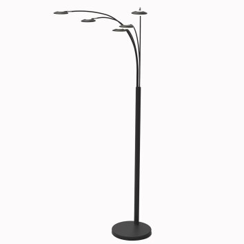 Lampadaire Steinhauer Synna LED Blanc, 5 lumières