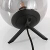 Lampe de table Steinhauer Bollique Noir, 1 lumière