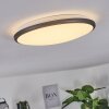 Plafonnier Magdala LED Noir, Blanc, 1 lumière