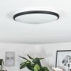 Plafonnier Magdala LED Noir, Blanc, 1 lumière