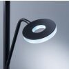 Lampadaire Fischer & Honsel Dent LED Noir, 1 lumière