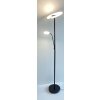 Lampadaire Fischer & Honsel Dent LED Noir, 1 lumière