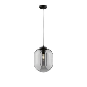 Suspension Fischer & Honsel Regi Noir, 1 lumière