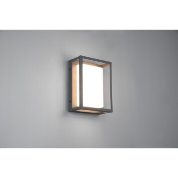 Applique murale d'extérieur Trio Witham LED Anthracite, 1 lumière