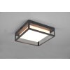 Plafonnier Trio Witham LED Anthracite, 1 lumière