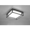 Plafonnier Trio Witham LED Anthracite, 1 lumière