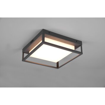 Plafonnier Trio Witham LED Anthracite, 1 lumière