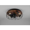 Ventilateur de plafond Reality Trondheim Couleur bois, Noir, 4 lumières, Télécommandes