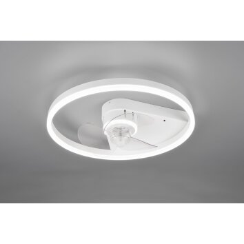 Ventilateur de plafond Reality Borgholm LED Blanc, 1 lumière, Télécommandes