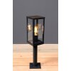 Borne lumineuse Lutec KARO Couleur bois, Noir, 1 lumière