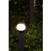 Borne lumineuse Lutec POLO LED Anthracite, 1 lumière