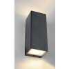 Applique murale d'extérieur Lutec LUCA LED Noir, 1 lumière