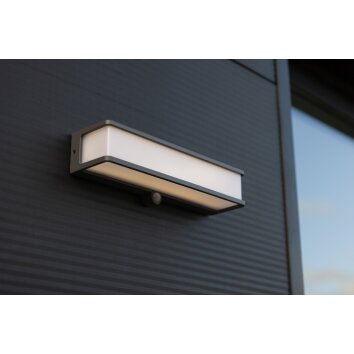 Applique murale d'extérieur Lutec DOBLO LED Anthracite, 1 lumière, Détecteur de mouvement