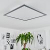 Plafonnier Wilderswil LED Blanc, 1 lumière