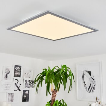 Plafonnier Wilderswil LED Blanc, 1 lumière