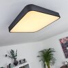 Plafonnier Batamoto LED Noir, Blanc, 2 lumières, Télécommandes, Changeur de couleurs