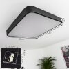 Plafonnier Batamoto LED Noir, Blanc, 2 lumières, Télécommandes, Changeur de couleurs