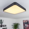 Plafonnier Batamoto LED Noir, Blanc, 2 lumières, Télécommandes, Changeur de couleurs