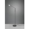 Lampadaire Trio Franklin LED Anthracite, 1 lumière