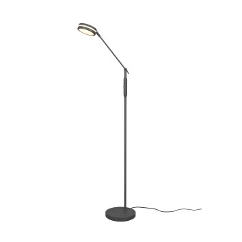 Lampadaire Trio Franklin LED Anthracite, 1 lumière