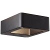 Applique murale d'extérieur Brilliant Golda LED Noir, 1 lumière