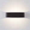 Applique murale d'extérieur Brilliant Golda LED Noir, 1 lumière