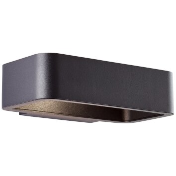 Applique murale d'extérieur Brilliant Golda LED Noir, 1 lumière