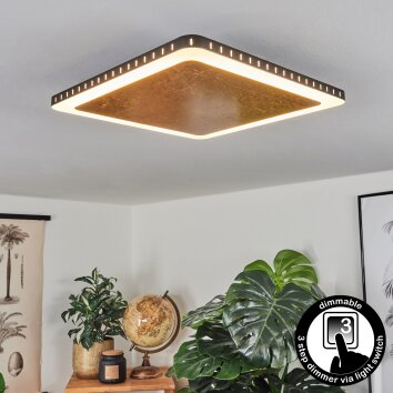 Plafonnier Guacacallo LED Or, Noir, Blanc, 1 lumière