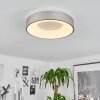 Plafonnier Playas LED Argenté, Blanc, 1 lumière