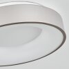 Plafonnier Playas LED Argenté, Blanc, 1 lumière