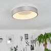 Plafonnier Playas LED Argenté, Blanc, 1 lumière