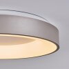 Plafonnier Playas LED Argenté, Blanc, 1 lumière