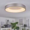 Plafonnier Playas LED Argenté, Blanc, 1 lumière