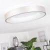 Plafonnier Playas LED Argenté, Blanc, 1 lumière